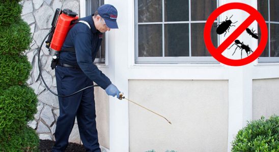 Nizip Dezenfeksiyon böcek ilaçlama ve haşere kontrolü — ilaclama-tr.com